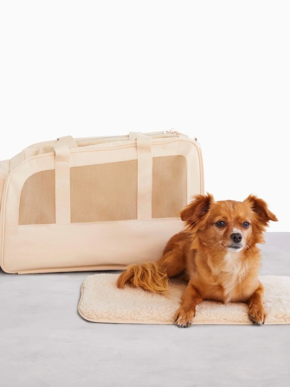 NWOT BÉIS The Regulation Pet Carry-On in Beige — Discontinued/HTF!